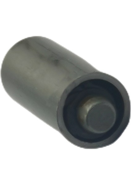 Çek Valf 4076981 M11 Serisi Motorlar Için (Yurt Dışından) fırsatları