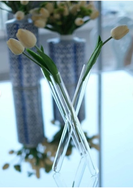 Cam Vazo Çapraz Ayak