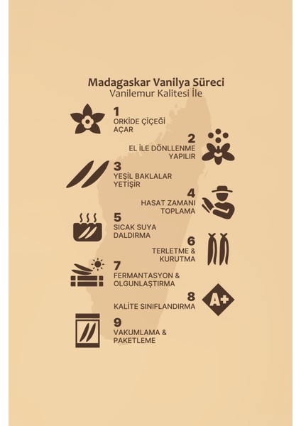 Vanilya Çubuğu 5 Adet (Yeni Hasat) Madagaskar Vanilyası [XL] modelleri