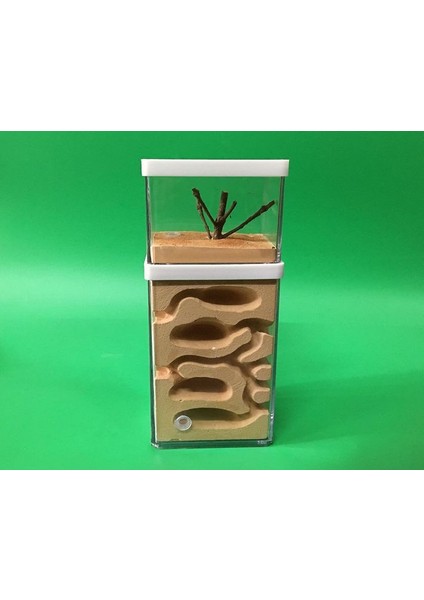 Atölye Ev Hayvanları Karınca Kraliçesi Kutusu (Yurt Dışından) modelleri