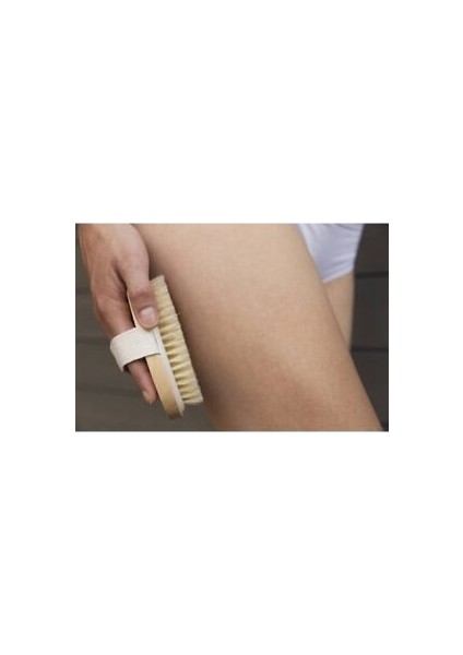 Doğal At Kılı Selülit Fırçası fiyatları