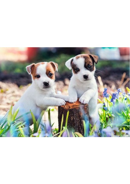 2X12 Parça Puzzle Yavru Köpekler 56361 fiyatları