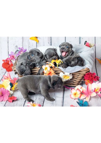 2X12 Parça Puzzle Yavru Köpekler 56361 modelleri