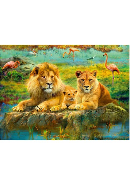 Puzzle Aslan Ailesi 500 Parça modelleri