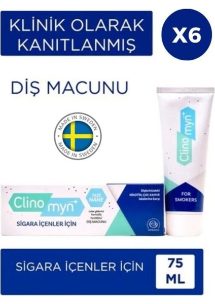 Karo Healthcare Sigara İçenlere Özel Lekeleri Gideren Florürlü Nane Aromalı Diş Macunu 75 ml İsveç Menşeli indirimleri