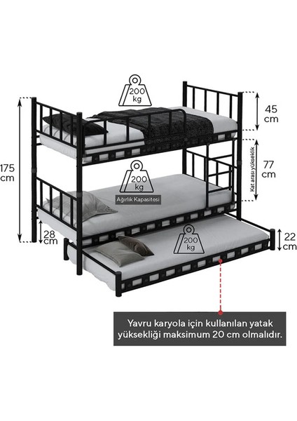 Argimo Zambak Yavrulu Genç Çocuk Odası Metal Ranza ve Karyola 90 x 200 Mavi