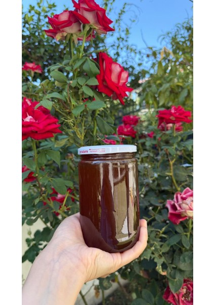 Senoradoliva “Arıların Sanatı, Çamların Hediyesi: Özel Çam Balı” fiyatları