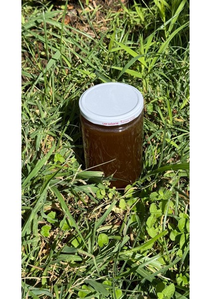 Senoradoliva “Arıların Sanatı, Çamların Hediyesi: Özel Çam Balı”