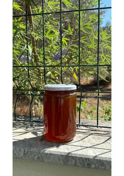 Senoradoliva “Arıların Sanatı, Çamların Hediyesi: Özel Çam Balı”