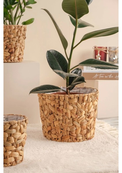 Romy - 3 lü Dekoratif Doğal El Örmesi Kalın Hasır İç Korumalı Saksı Sepet Seti