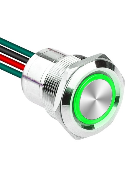 WD22D1-P2Z-E 22MM Düz Anahtarlı Işıklı Kablolu Metal Buton - Yeşil