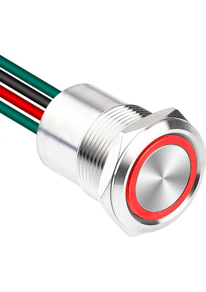 WD19D1-P2Z-E 19MM Düz Anahtarlı Işıklı Kablolu Metal Buton - Kırmızı