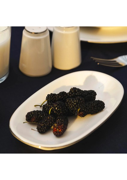 Elias Platin Kayık Tabak 19X11 cm fiyatları