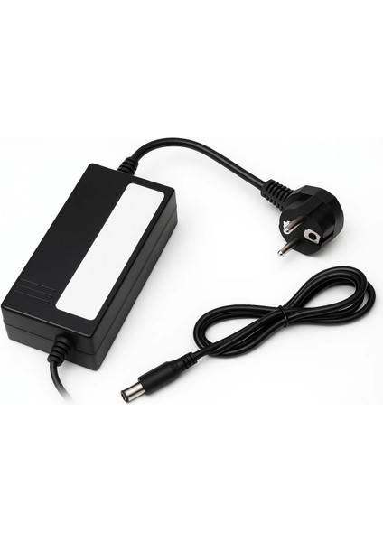 60 Volt (17S) 5 Ah Elektrikli Bisiklet Şarj Aleti