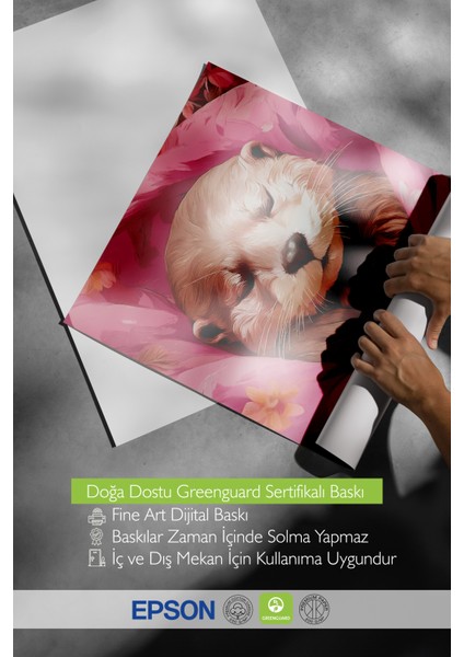 Siyah Çerçeveli Tablo, Uykucu Su Samuru, Çocuk Odası Dekoru Poster No: 112501