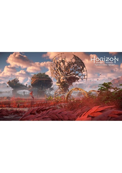 Horizon Forbidden West PS4 Aksiyon Oyunu Playstation 4 Uyumlu Türkçe ve 5 Dil Tek Oyunculu fırsatları