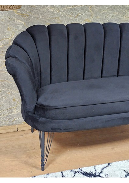 Ikili Istiridye Siyah Boyalı Telli Ayak Çay Seti Koltuk Tekli Berjer , Ikili Berjer Koltuk Siyah Renk 110 x 48 Boyut/ebat fırsatları