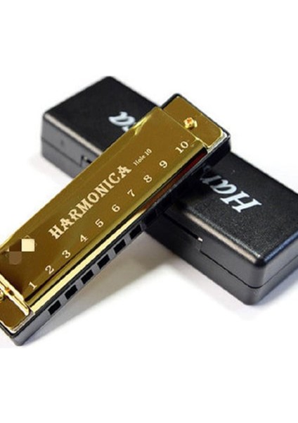 Metal Mızıka Özel Kutusunda 10 Delikli Metal Gövdeli fiyatları