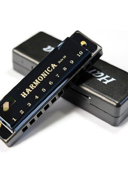 Metal Mızıka Özel Kutusunda 10 Delikli Metal Gövdeli modelleri