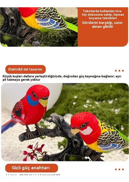 Çocuklar Için Otomatik Ses Aktive Kuş Şarkı Papağan Oyuncakları (Yurt Dışından) modelleri