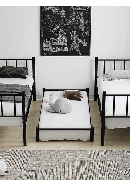 Argimo Zambak Yavrulu Genç Çocuk Odası Metal Ranza ve Karyola 90 x 200 Beyaz fırsatları