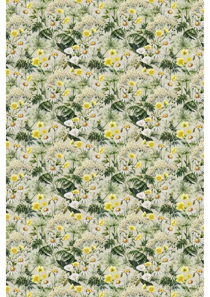 Sarı Beyaz Papatya Çiçek Desenli Duvar Kağıdı modelleri
