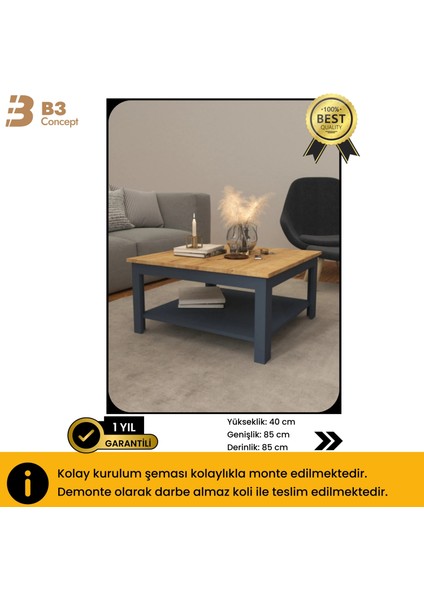 B3CONCEPT Nort Serisi Modern Dekoratif Raflı Kare Salon Orta Sehpa Safir Meşe-Antrasit indirimleri