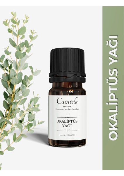 Okaliptus Yağı %100 Doğal Saf