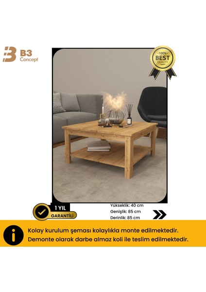 Nort Serisi Modern Dekoratif Raflı Kare Salon Orta Sehpa Safir Meşe indirimleri