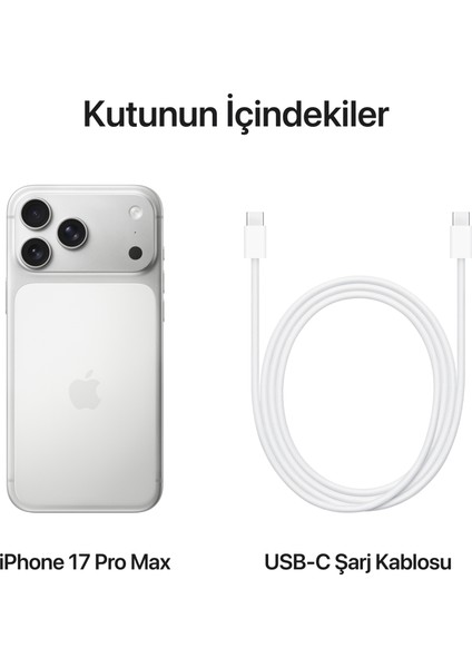 iPhone 17 Pro Max 256 GB Gümüş