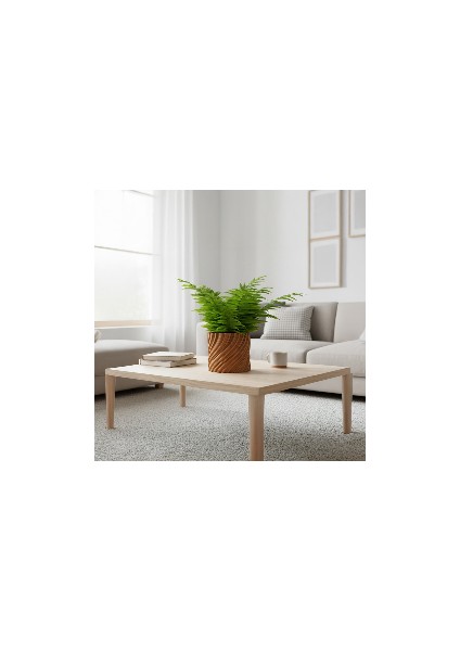 Natura Modern Dekoratif Saksı fiyatları