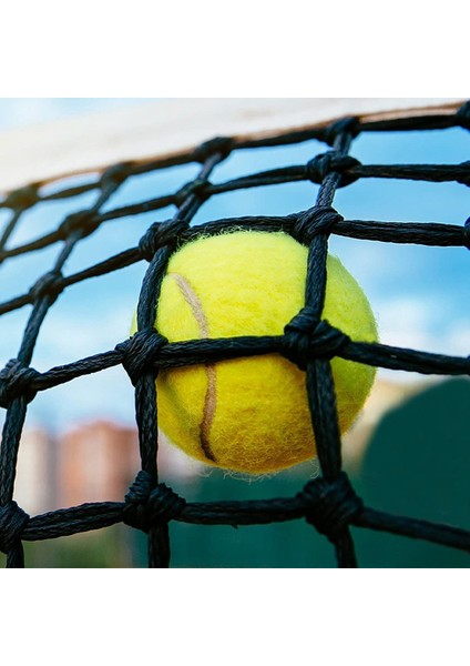 Saklama Çantalı 12'li Paket Tenis Topları - Kaliteli Kalın Duvarlı Tenis Topu - Tenis ve Kriket Için Mükemmel (Yurt Dışından) indirimleri