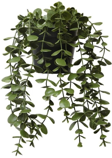 Saksıda Sarkan Okaliptus Yapay Bitki 34 cm Dekoratif İç Mekan Süs Aksesuarı fırsatları