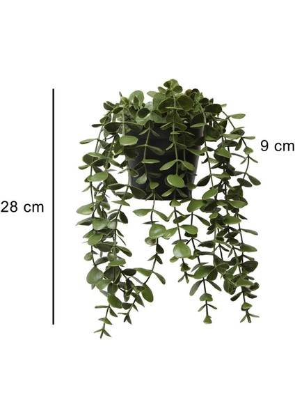Saksıda Sarkan Okaliptus Yapay Bitki 34 cm Dekoratif İç Mekan Süs Aksesuarı indirimleri