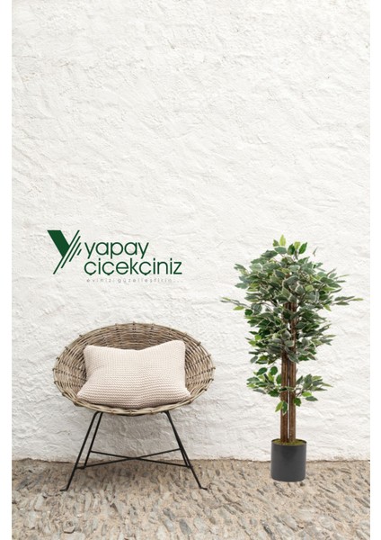 Yapay Benjamin Ağacı 100 cm Doğal Yosunlu Modern Gri Saksıda Renkli Yapraklı Dekoratif Bitki