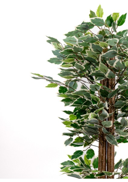 Yapay Benjamin Ağacı 100 cm Doğal Yosunlu Modern Gri Saksıda Renkli Yapraklı Dekoratif Bitki