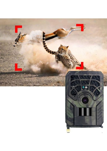 Takip Kamerası 720P Yaban Hayatı Kamera Açık Havada Yaban Hayatı Hayvan Izciliği Güvenlik Gözetimi Için Avcılık Takip Kameraları (Yurt Dışından) fırsatları