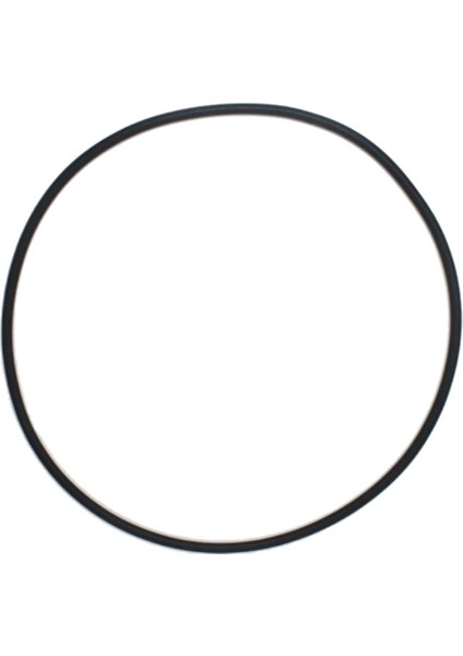 27001-0061S O-484 Için Havuz Spa Filtre Tankı O-Ring Spa-Rıte PLM100 Havuz Filtresi Havuz Pompası Yedek Parçaları (Yurt Dışından)