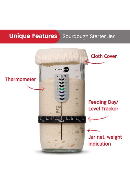 Termometreli Ekşi Maya Başlangıç Kavanozu