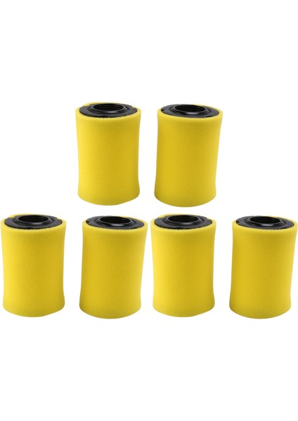 Biçme Hava Filtreleri Briggs Stratton 796031 (591334 Veya 594201) Artı 797704 Köpük Ön Temizleyici (6 Paketi) (Yurt Dışından)