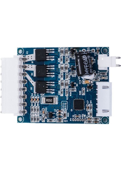 50X40MM Santrifüj Üfleyici Tahrik Mavi 60 Derece WS7040-24-V200N 24V Üfleyici Elektrikli Alet Aksesuarları Için Özel (Yurt Dışından)