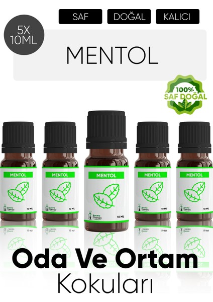 Mentol Esansiyel Koku Yağı Buhardanlık Yağı Difüzör Esansı Hobi Esans Ortam Oda Kokusu 5X10 ml