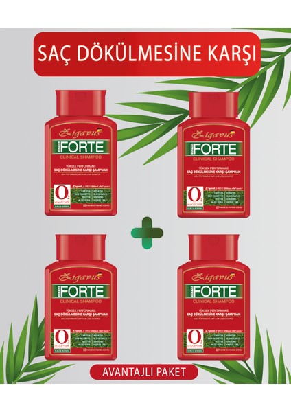 Forte Ultra Clinical Kuru ve Normal Saçlar Için Şampuan 220 x 4 ml