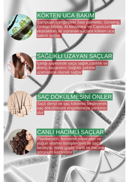 Forte Ultra Clinical Kuru ve Normal Saçlar Için Şampuan 220 x 4 ml