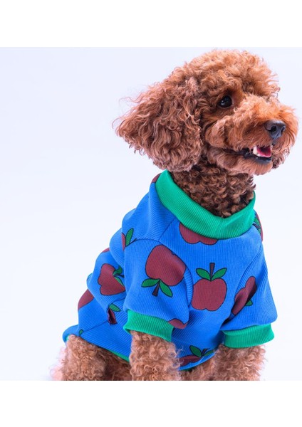 Apple Kaşkorse Elma Desenli Sweat Kedi Köpek Sweat Kedi Köpek Kıyafeti fiyatları