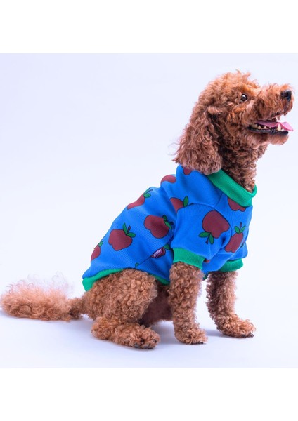 Apple Kaşkorse Elma Desenli Sweat Kedi Köpek Sweat Kedi Köpek Kıyafeti modelleri