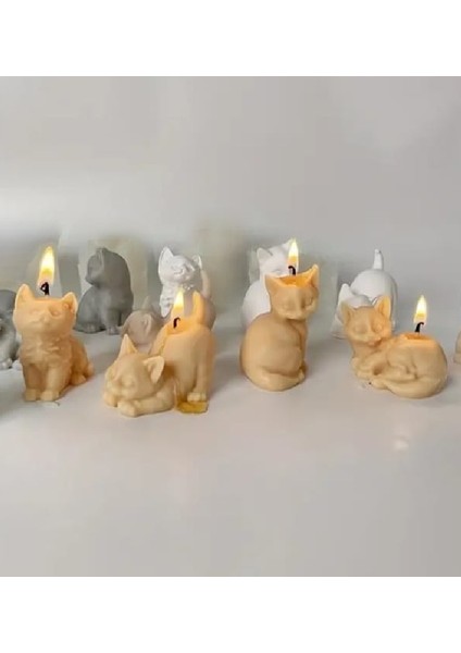 Mini Tatlı Kedi Yavruları Mum Seti Kokulu Doğal Soya Mum Seti
