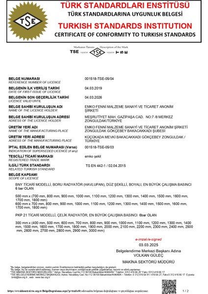 Panel Radyatör DK22-300X1100