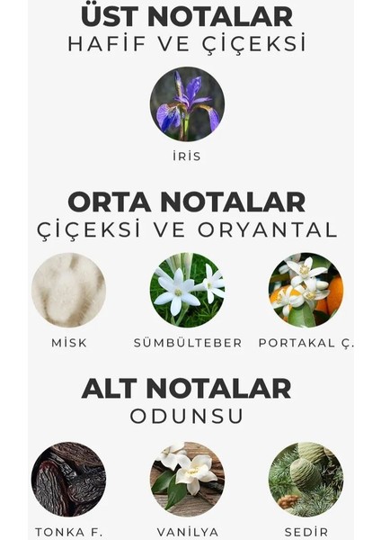 Rose Passion Parfüm 100ML modelleri