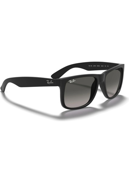 Rb 4165 601/8g 55 Unisex Güneş Gözlüğü fırsatları